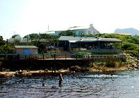 milkwood1.jpg (14467 bytes)